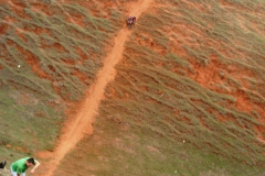 1ª Trilhão de Papagaio