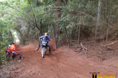6ª Trilha da Floresta