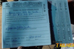 7ª Trilha da Floresta