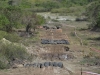 Foto: Carlos Berg