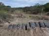 Foto: Carlos Berg