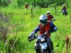 DSC_7231.jpg