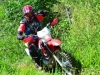 DSC_7287.jpg