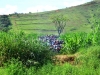 DSC_7346.jpg