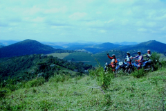 5 Trilha da Floresta