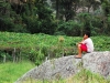 Vou_ser_trilheiro,_igual_a_eles_DSC_4426