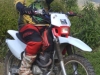 Jorge Paraguaio-Fotos da Trilha (40).jpg