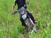 Foto: Carlos Berg