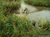 dsc00042