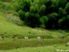 dsc00032