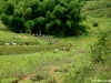 dsc00033