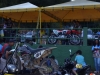 Foto: Jorge Paraguaio