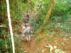 Trilha Fazenda São Pedro 2008